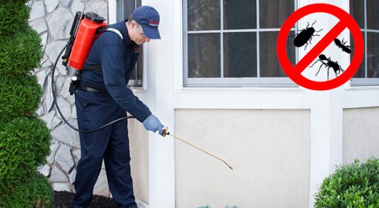 Orhangazi Dezenfeksiyon böcek ilaçlama ve haşere kontrolü — ilaclama-tr.com